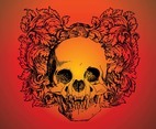 Skull Vector Download