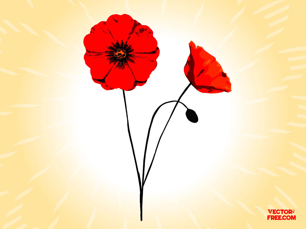 Poppy Flowers Vector Art & Graphics | freevector.com
