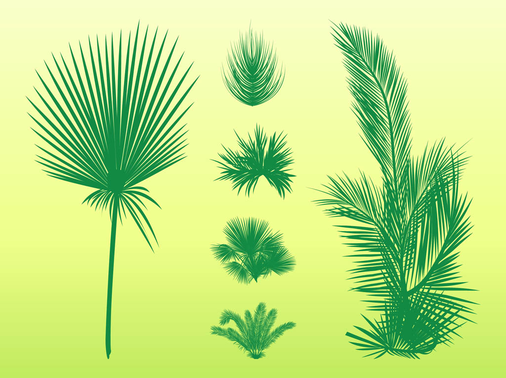 Palm Leaves Set Vector Art & Graphics | freevector.com