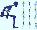 Human Skeletons Silhouettes