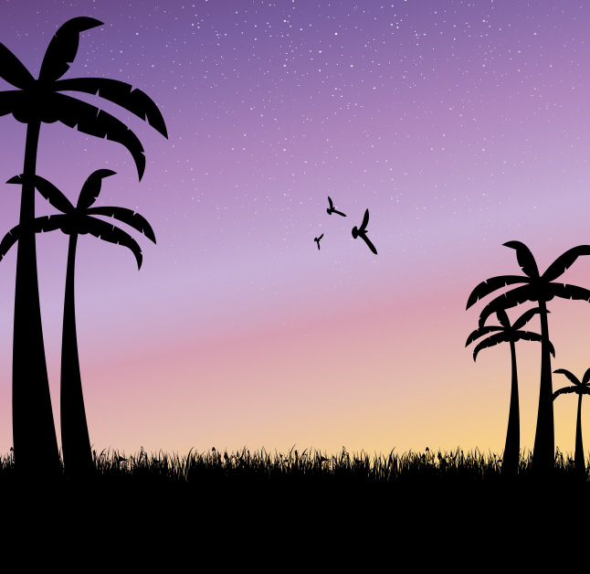 Sunset Palm Tree Vector Background