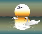 Swan illustration background vector