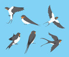 Swallow Birds Vector