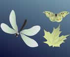 Insects And Leaf