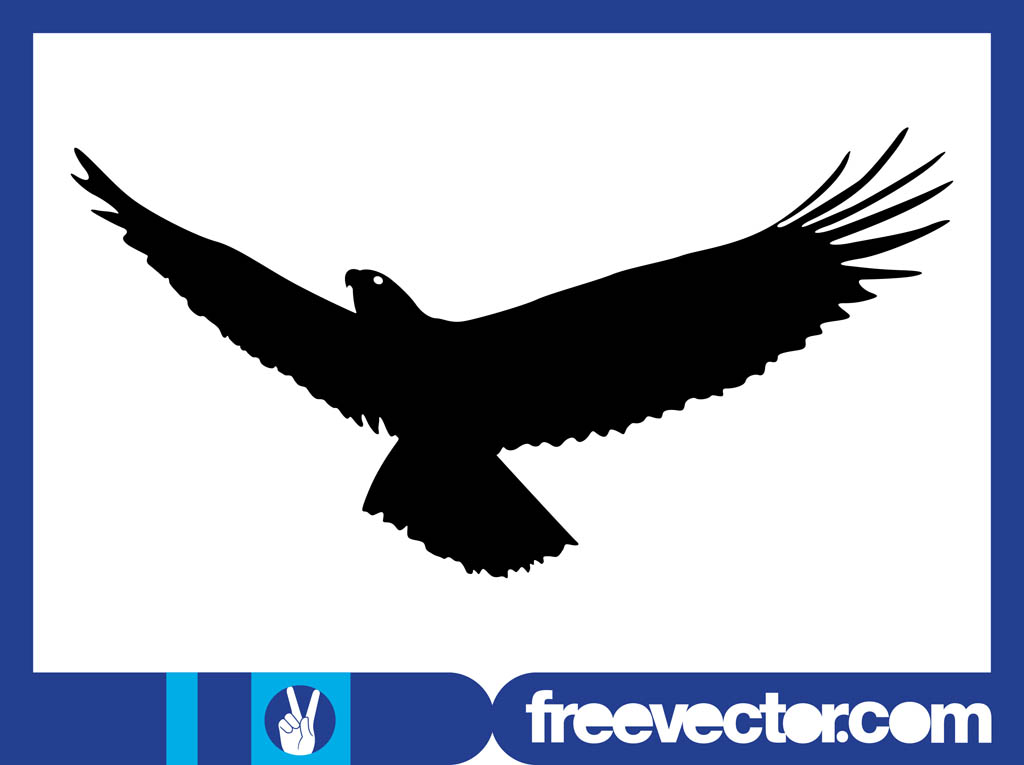 Flying Eagle Silhouette Graphics