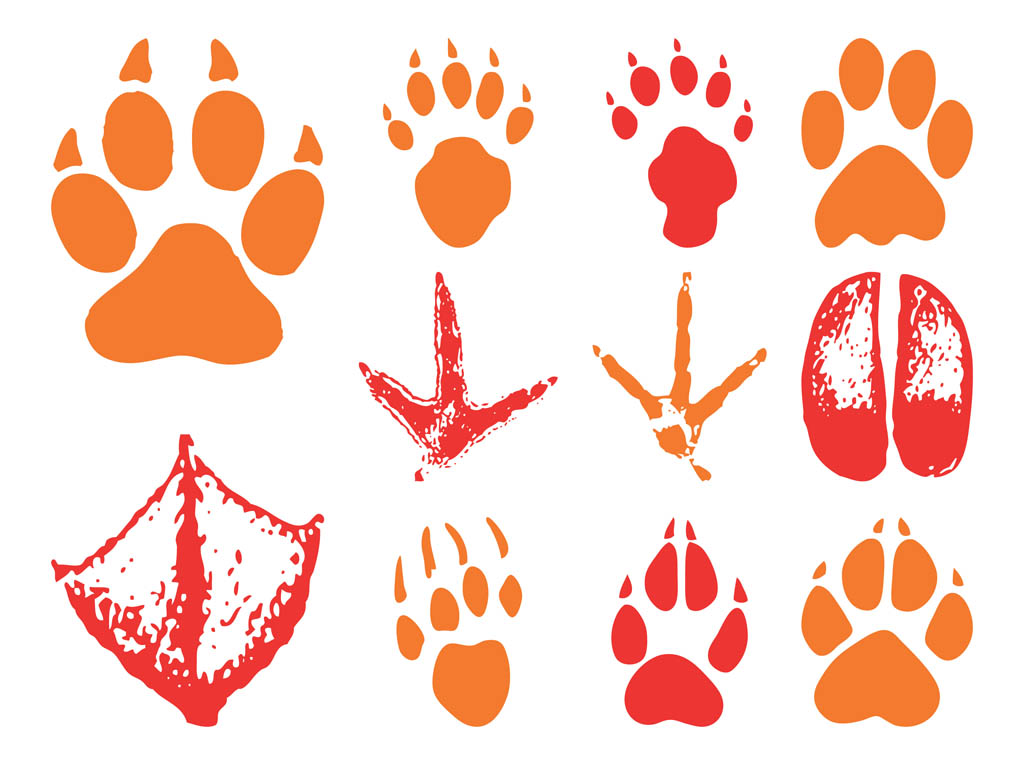 animal-footprints-vector-art-graphics-freevector