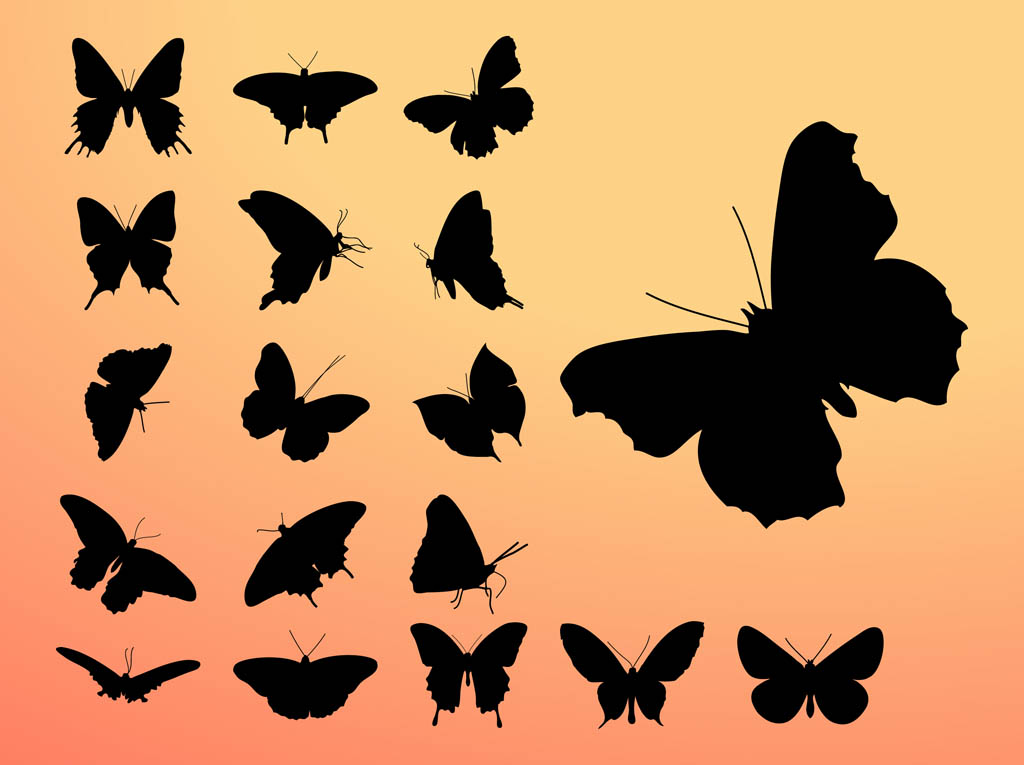 Butterfly Silhouettes Vector Art & Graphics | freevector.com