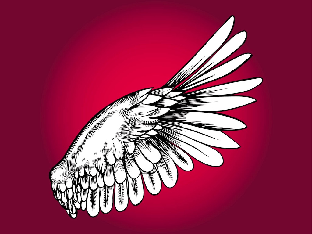 bird wings design