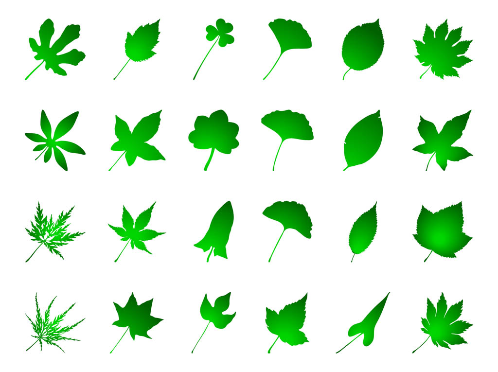 Green Leaves Set Vector Art And Graphics