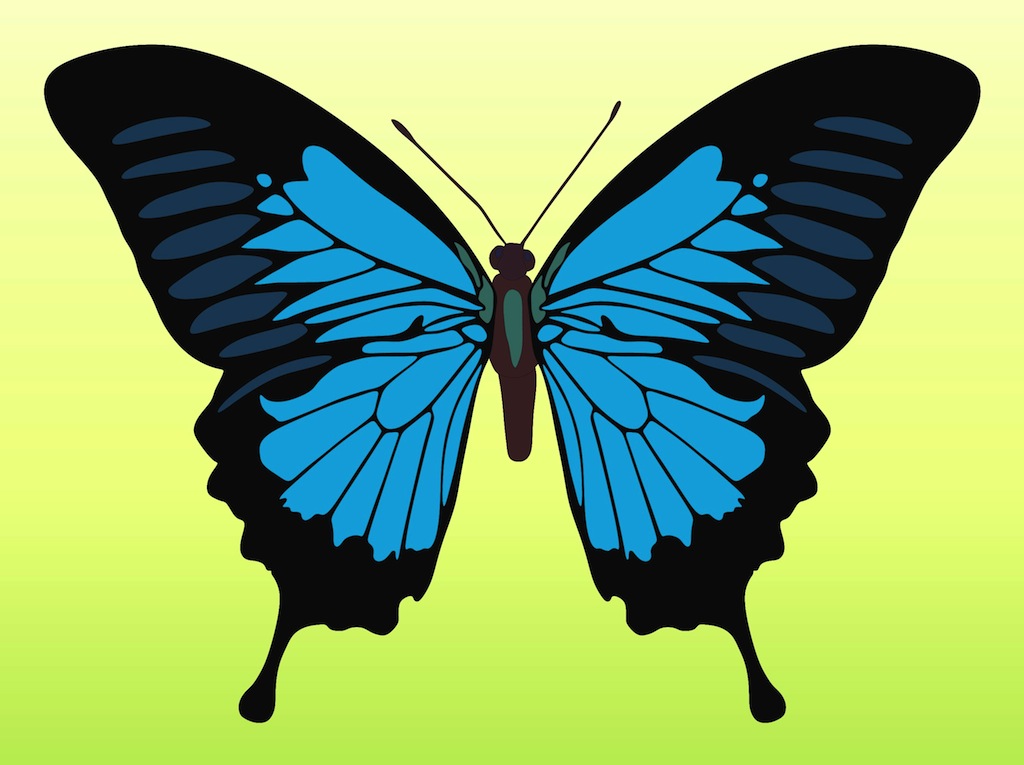 Download Pretty Butterfly Vector Vector Art & Graphics | freevector.com