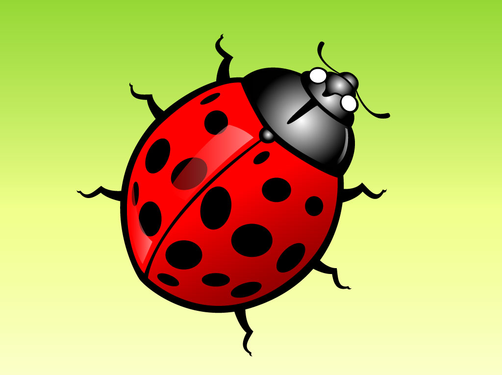 Lady Bug Cartoon Vector Art & Graphics