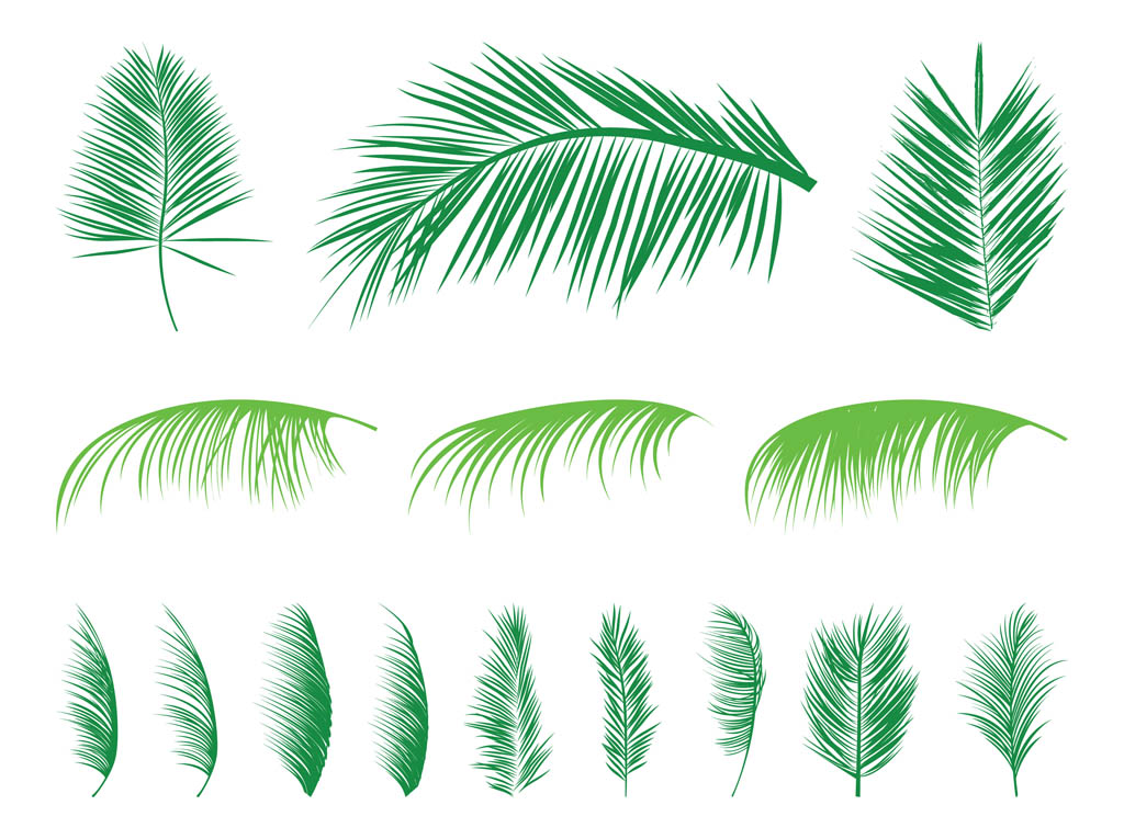 Palm Leaves Silhouettes Set Vector Art Graphics Freevector Com