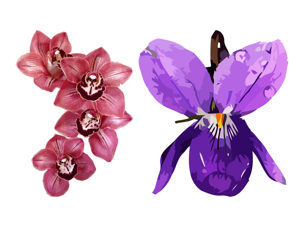 Spring Flowers Graphics Design Vector Art & Graphics
