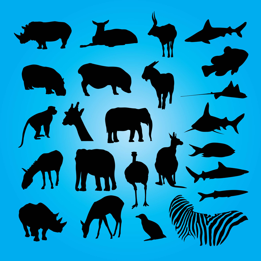 Animals Vector Art & Graphics | freevector.com