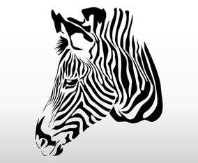 Animal Print Pattern Vector Art & Graphics | freevector.com