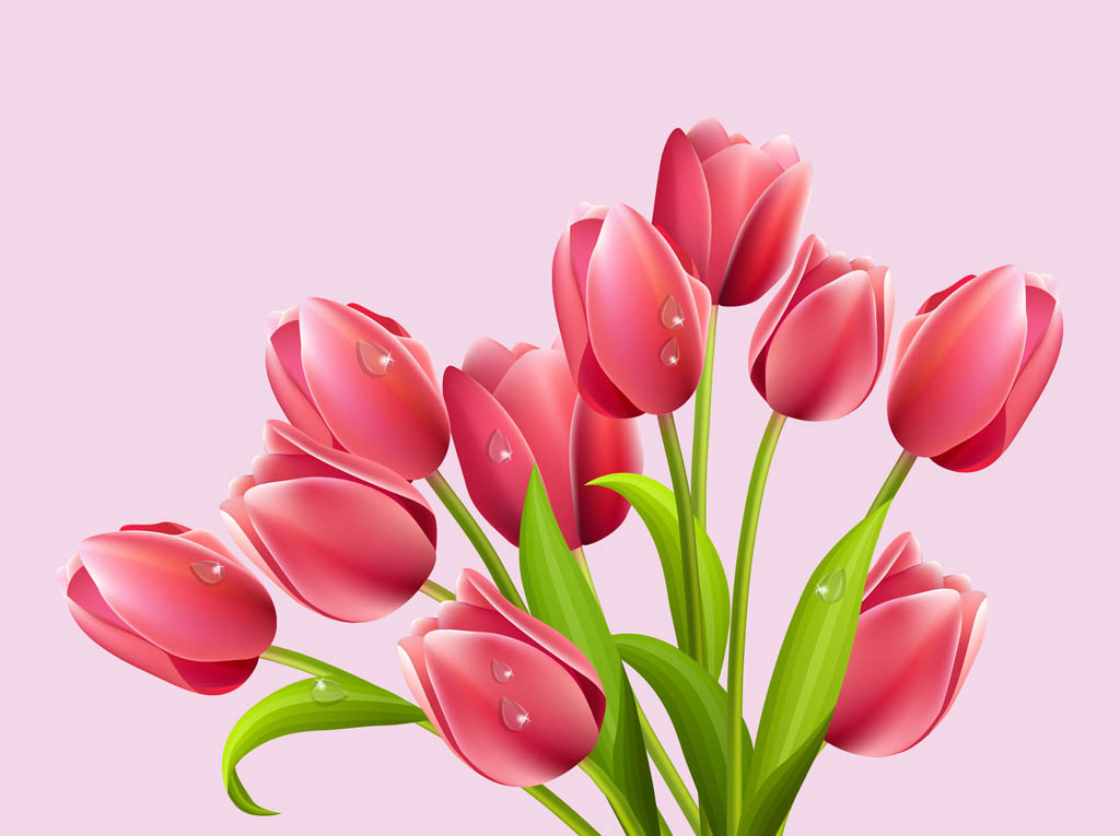 Download Vector Tulips Vector Art & Graphics | freevector.com