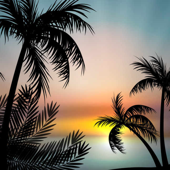 Sunset Vector With Palm Trees Vector Art & Graphics | freevector.com