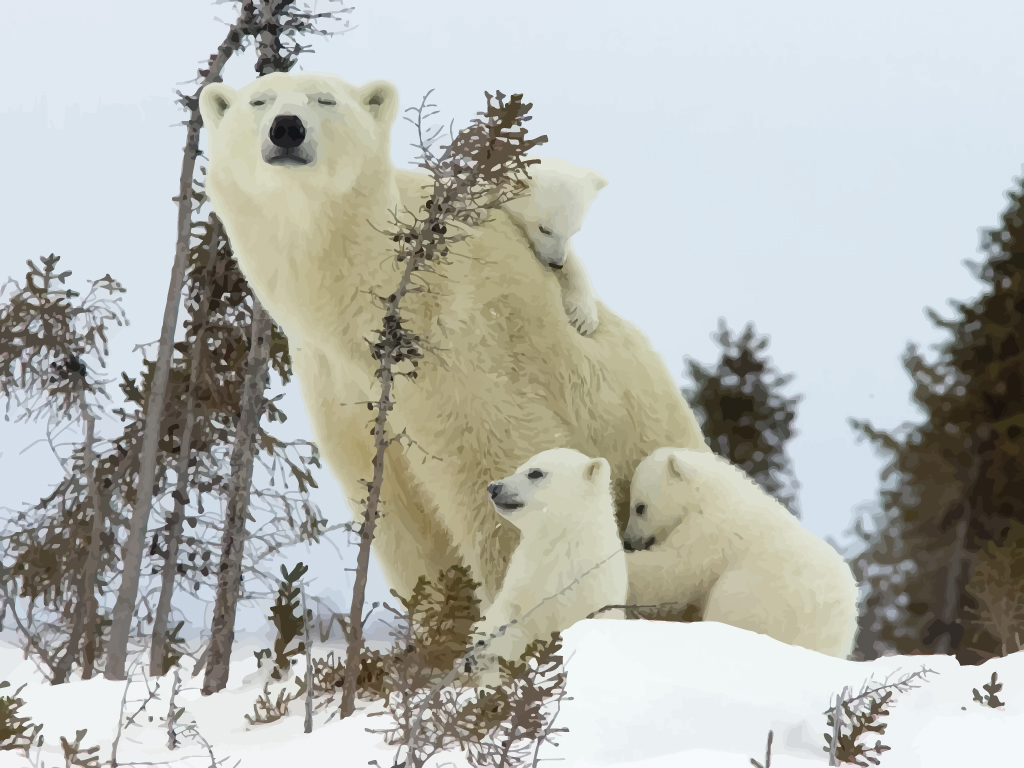 Download Polar Bear Family Vector Art & Graphics | freevector.com