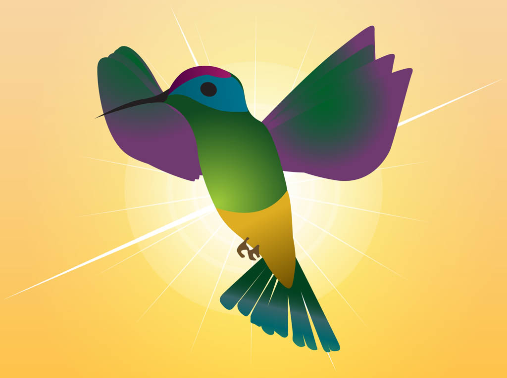 Free Free 55 Vector Hummingbird Svg Free SVG PNG EPS DXF File