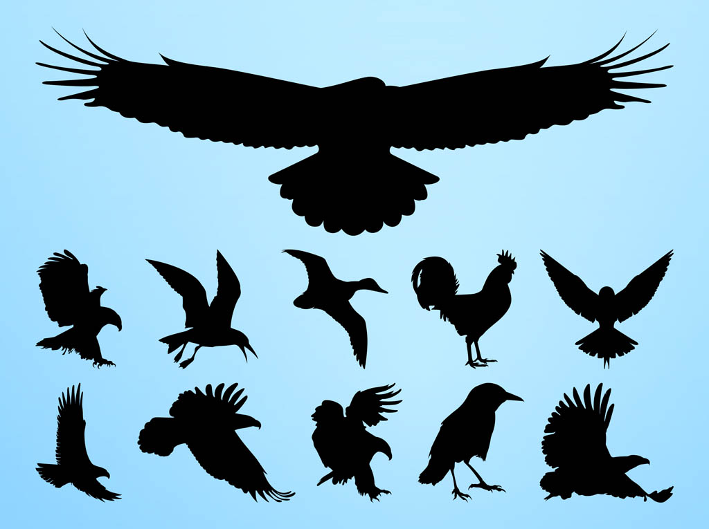 flying crows silhouette