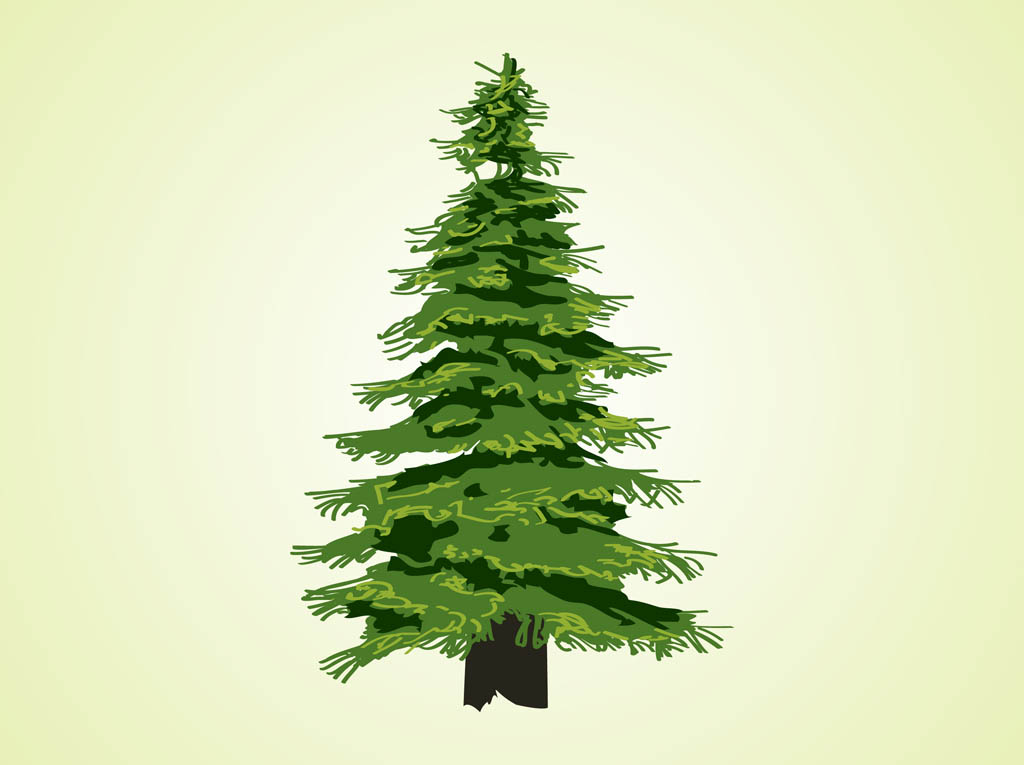 simple evergreen tree vector