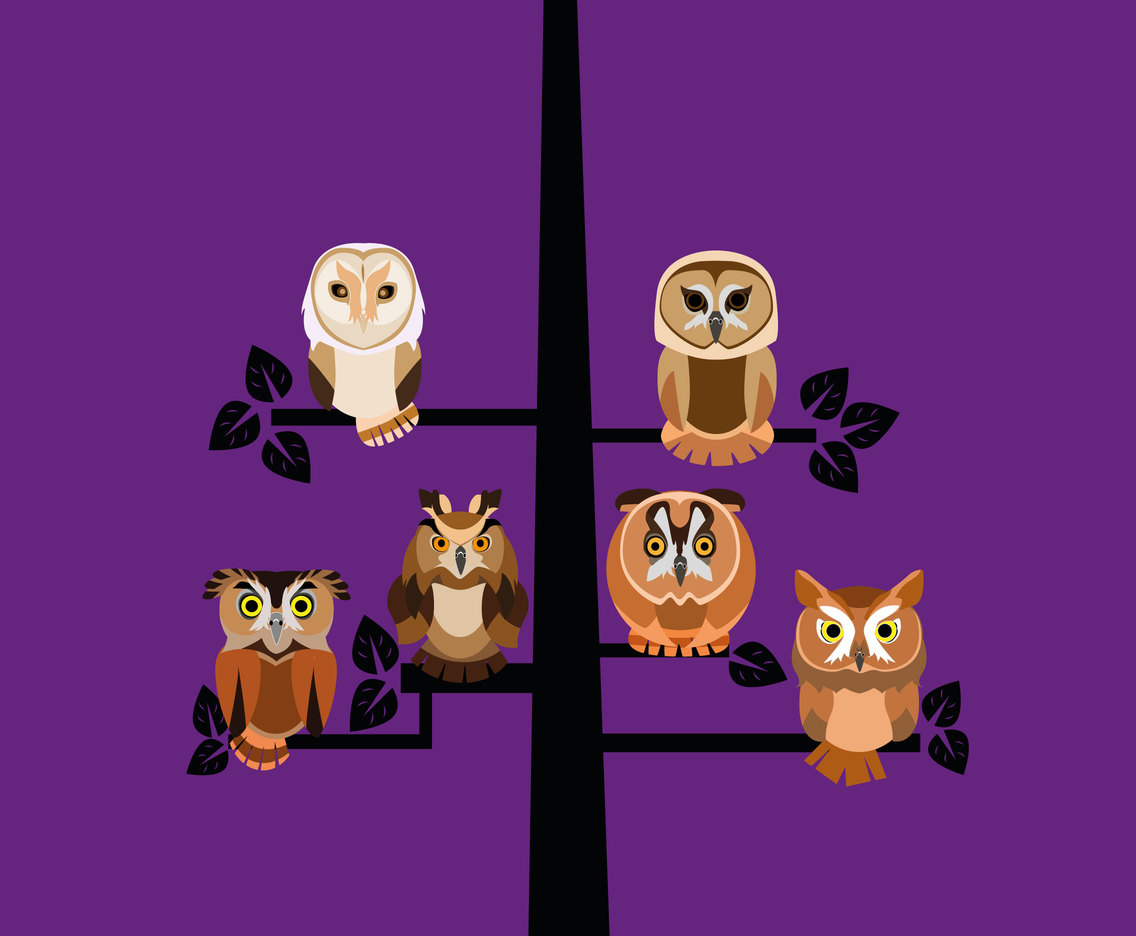 owl cartoon in tree