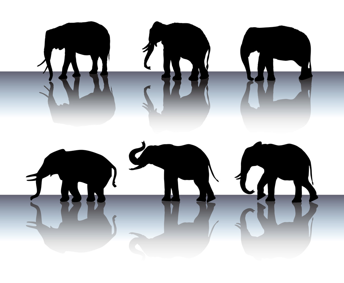Download Elephant Silhouette Vector Set Vector Art & Graphics | freevector.com
