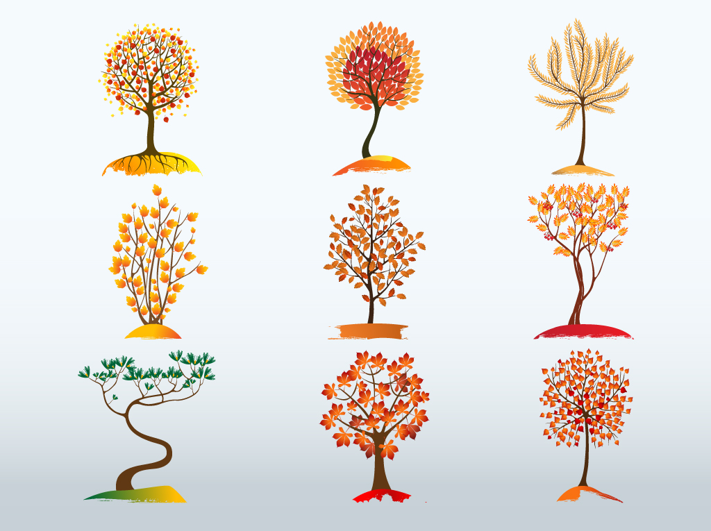 Autumn Tree Vector Bundle Vector Art & Graphics | freevector.com
