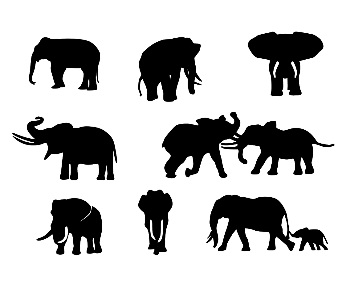 Download Free Elephant Silhouette Vector Vector Art & Graphics ...