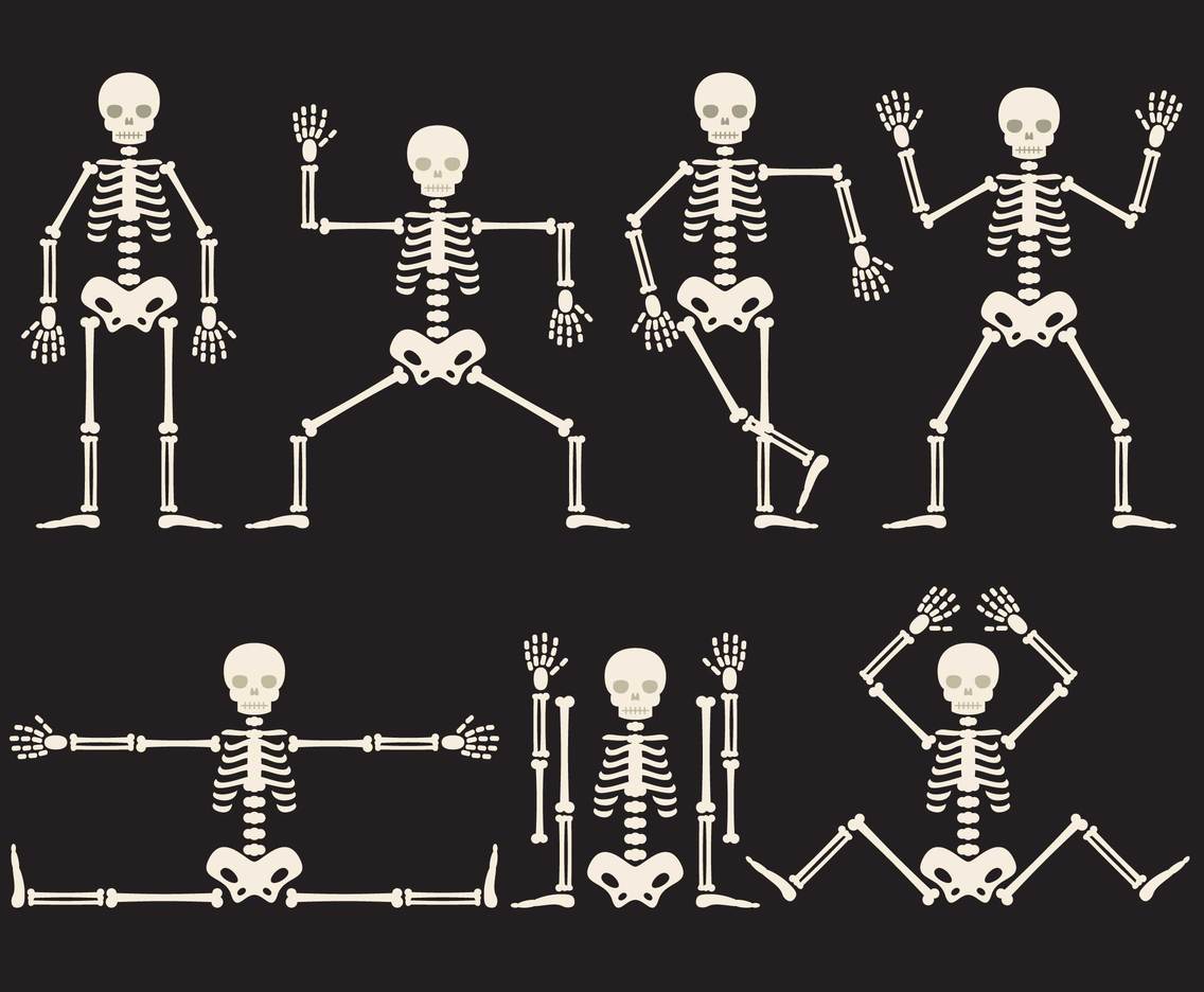 Cartoon Skeletons Vector Art & Graphics | freevector.com