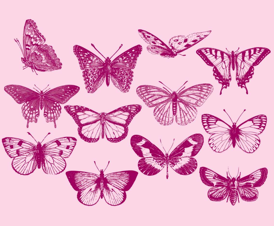 Download Vintage Butterflies Vector Art & Graphics | freevector.com