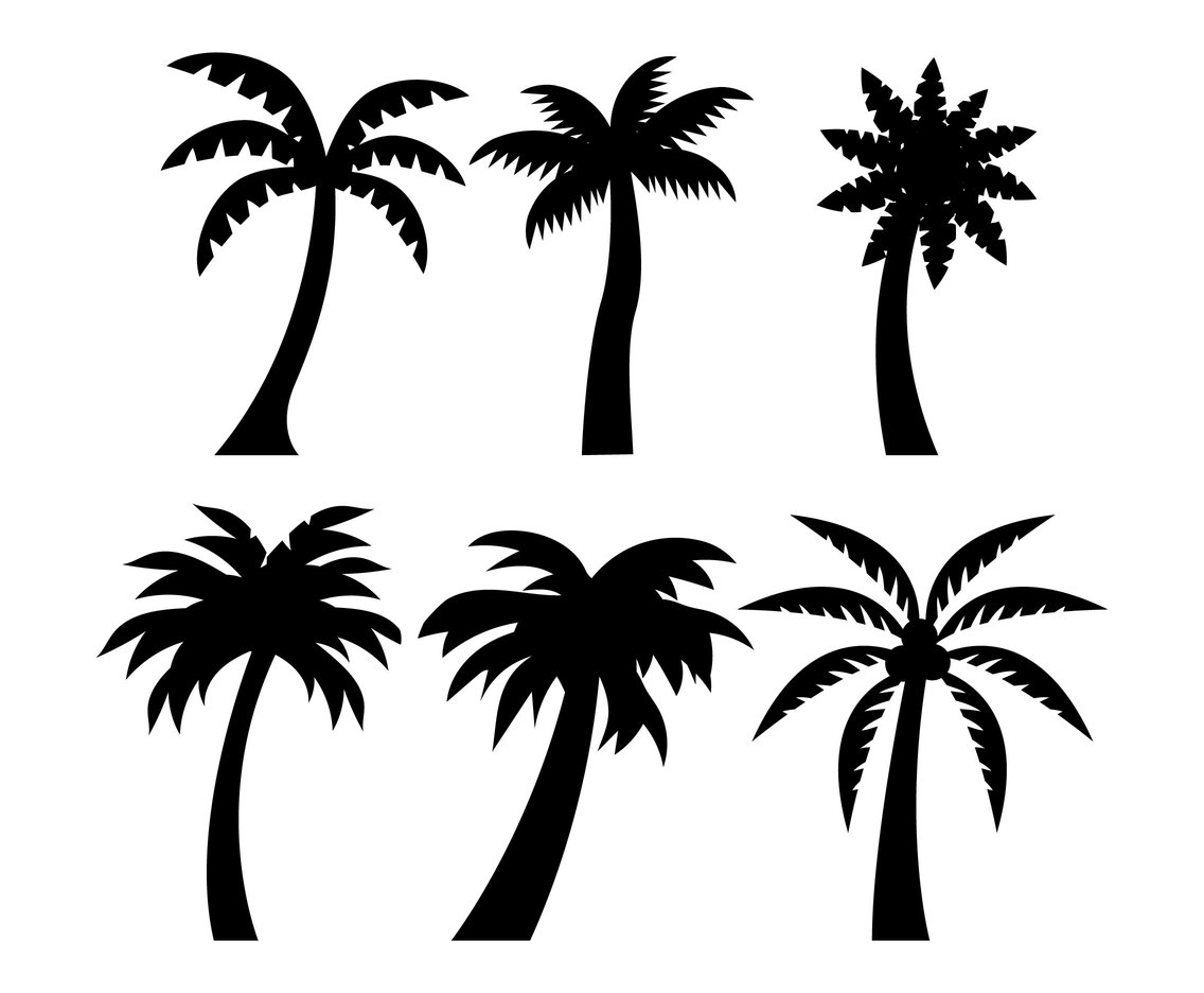 Palm Tree Silhouette Vector Art & Graphics