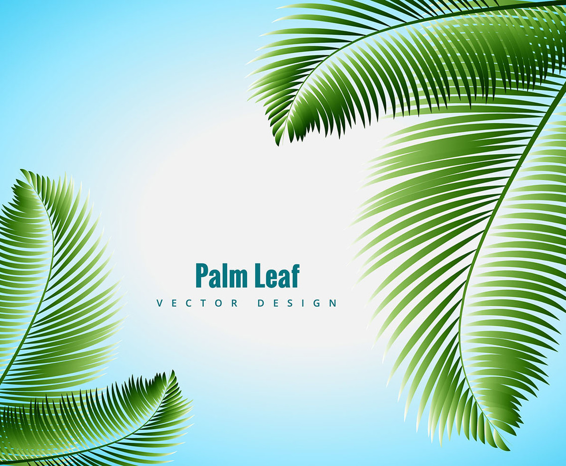 Palm Leaf Vector Vector Art And Graphics