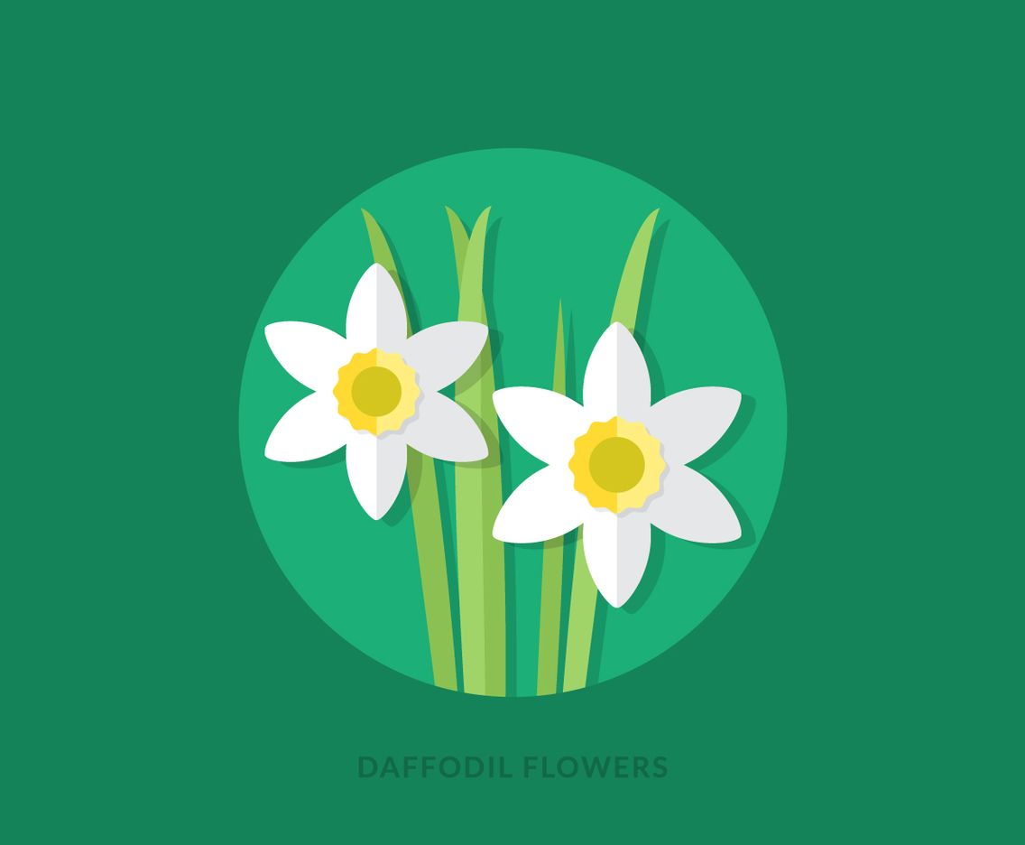Download Flat Daffodil Flowers Vector Art & Graphics | freevector.com