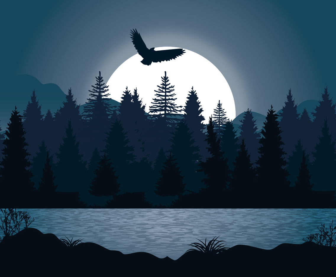 Beautiful Night Forest Illustration Vector Art & Graphics