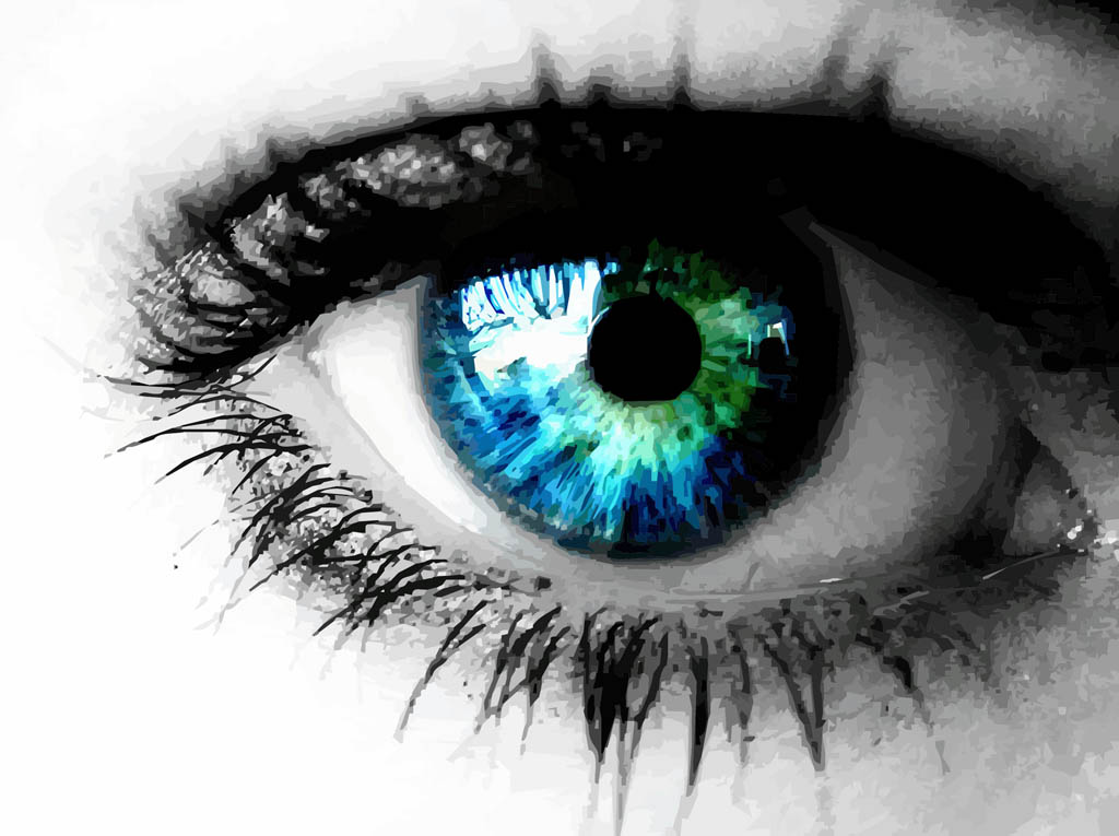 Beautiful Eye Vector Art & Graphics | freevector.com
