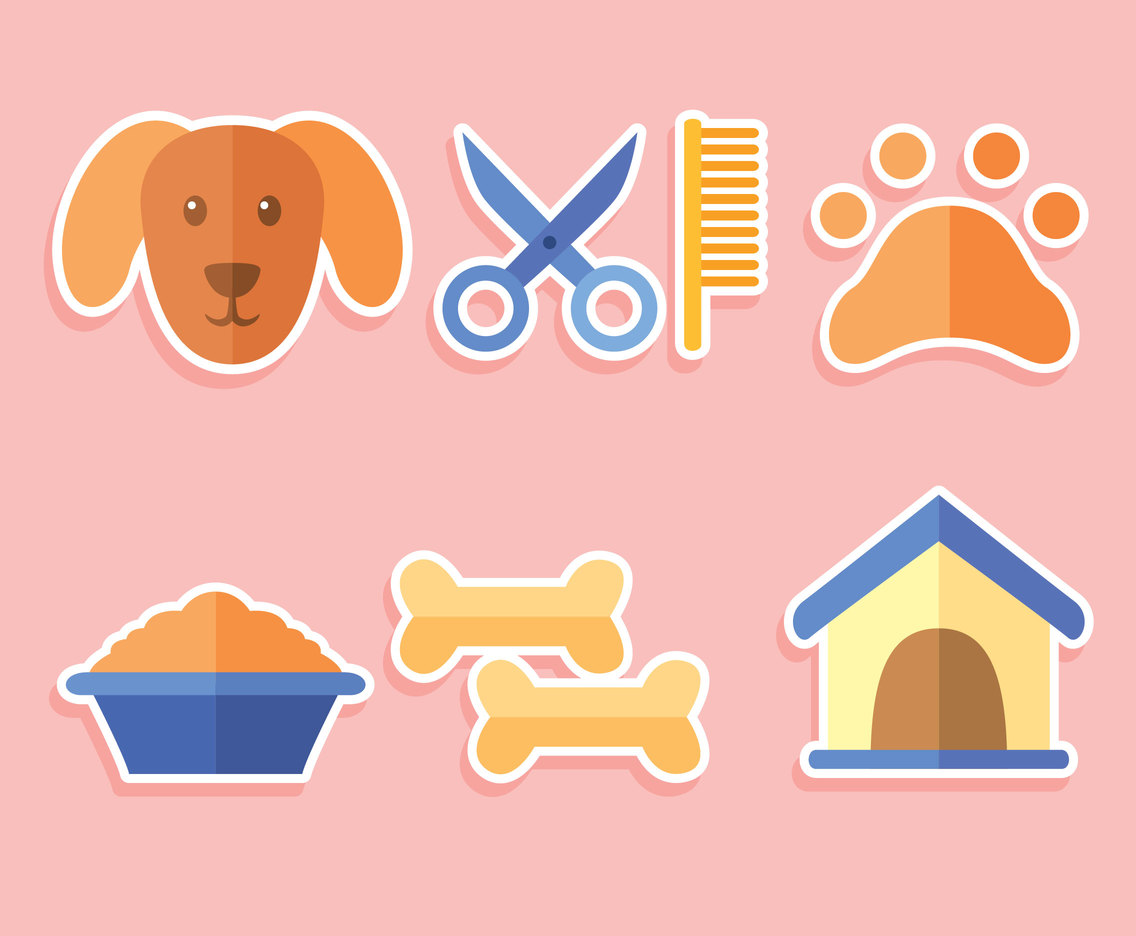 Pet shop supplies of dog care and grooming cartoon vector. Dog or puppy  animal food, bowl, bed and bone toy, leash, collar, kennel and carrier  cage, b Stock Vector Image & Art 