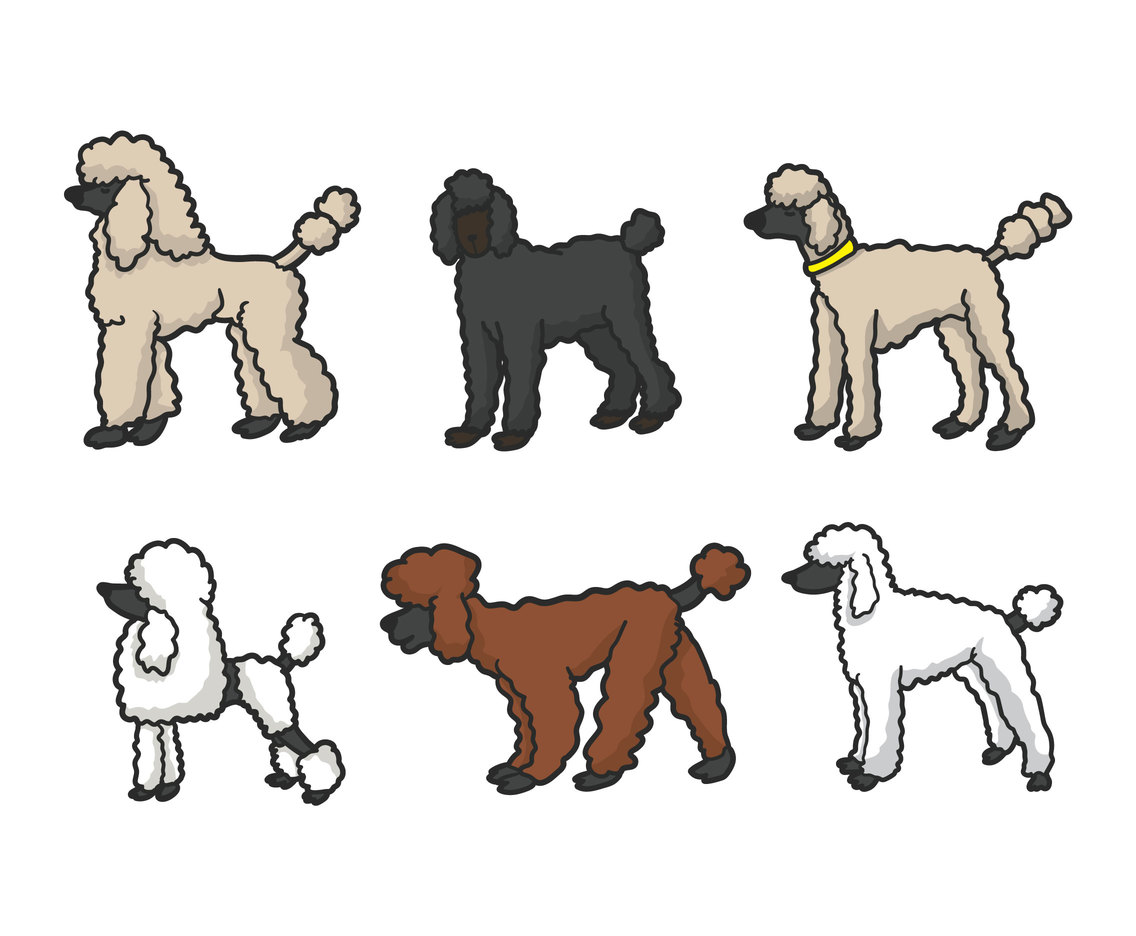 Download Free Poodle Svg - Poodle dog silhouettes Royalty Free ...