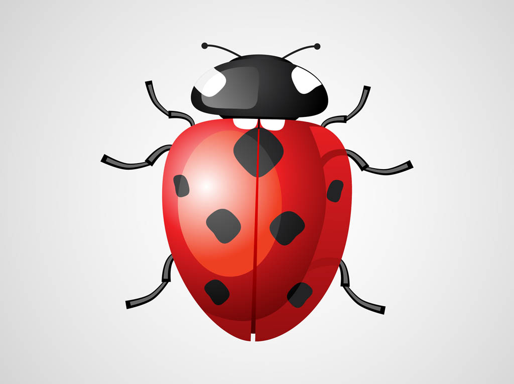 Ladybug Royalty Free Vector Image - VectorStock