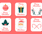 Merry Christmas Family Gathering Greeting Card Collection