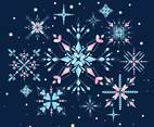 Beautiful Snowflake with Color Bright