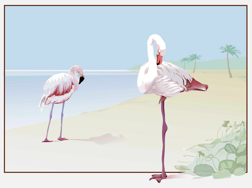 Pink flamingo Vectors & Illustrations for Free Download