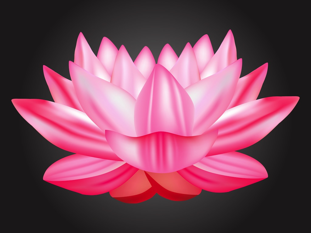 Download Lotus Vector Vector Art & Graphics | freevector.com