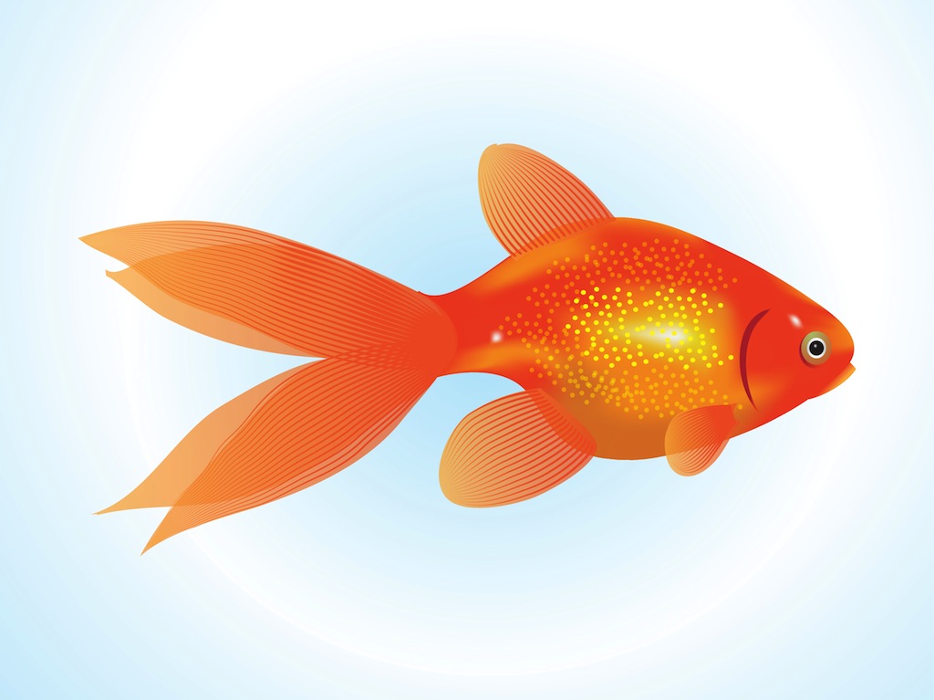 Download Goldfish Vector Vector Art & Graphics | freevector.com