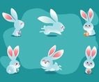 Cute Easter White Bunny Rabbit Character Concept
