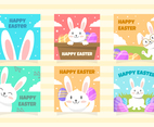 Cute Easter Rabbit Social Media Post Collection