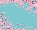 Cherry Blossom with Turquoise background