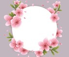 Cherry Blossom Template Border With Branch