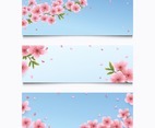 Set of Blossoming Sakura Flower Banner On Blue Sky