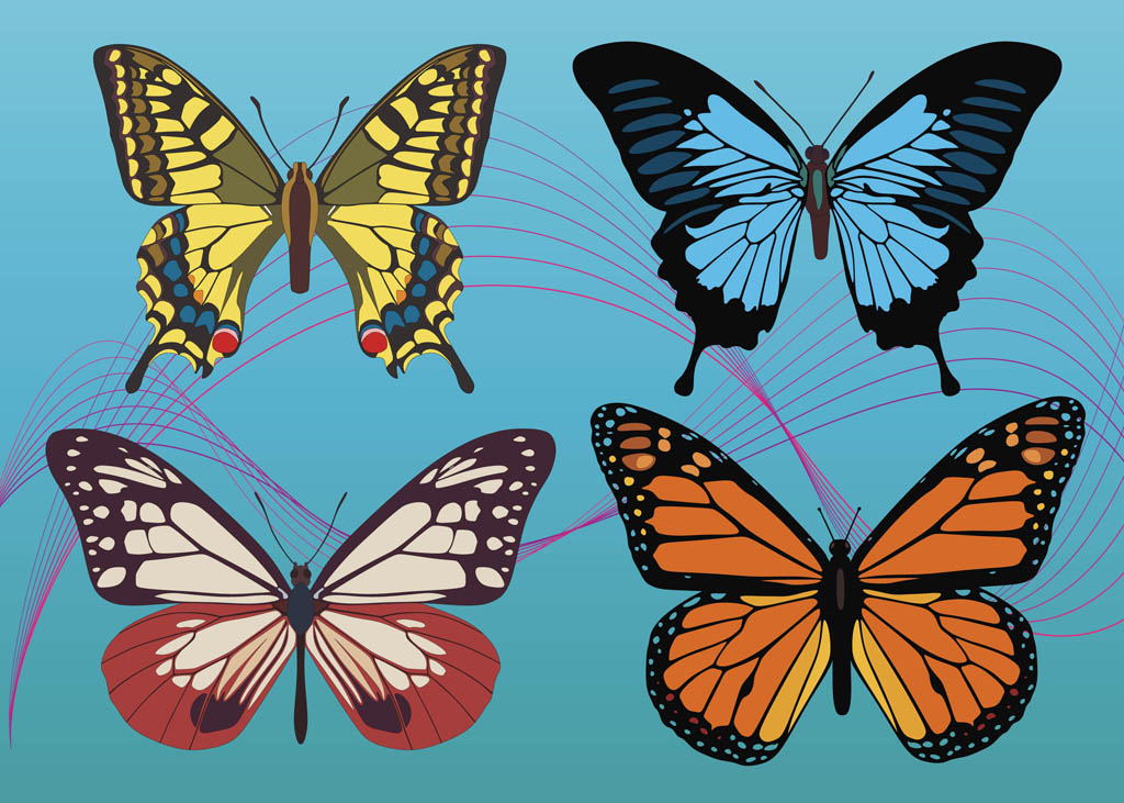 Download Colorful Butterfly Vectors Vector Art & Graphics ...